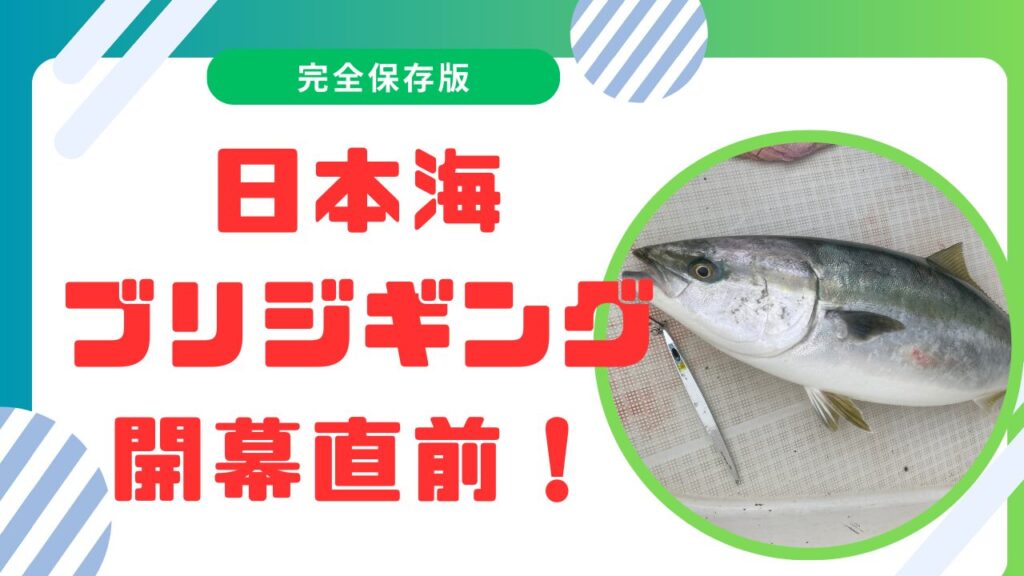 日本海でのブリジギング：最適タックルとフロロリーダーの選び方