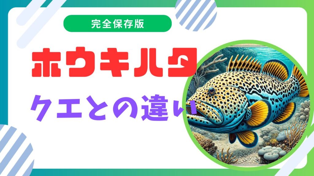 ホウキハタとクエの違いとは？値段や最大日本記録も徹底解説！